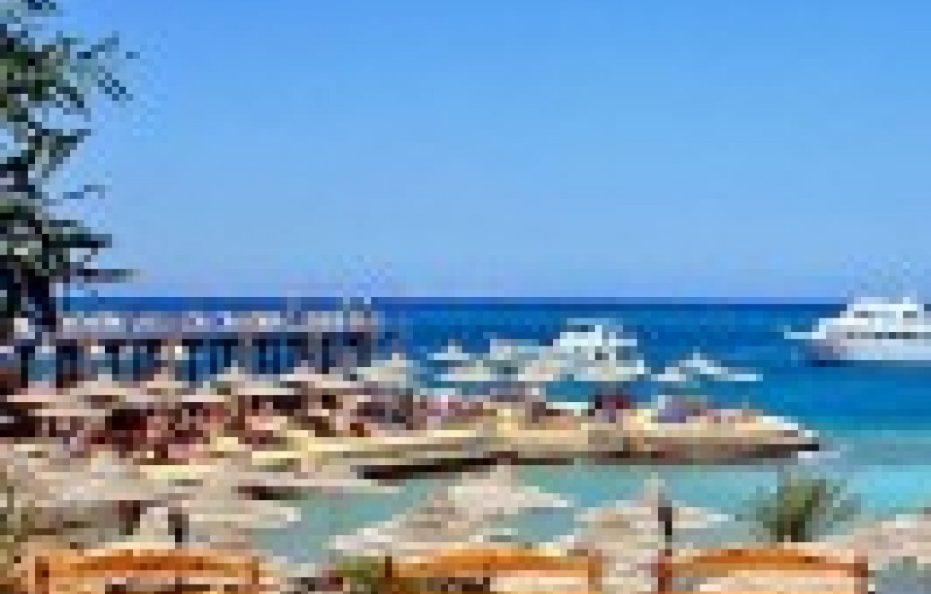 King Tut Resort