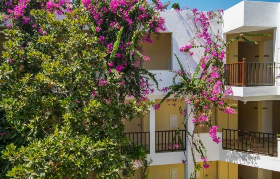 Natur Garden Bodrum